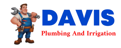 Trusted plumber in PILLAGER